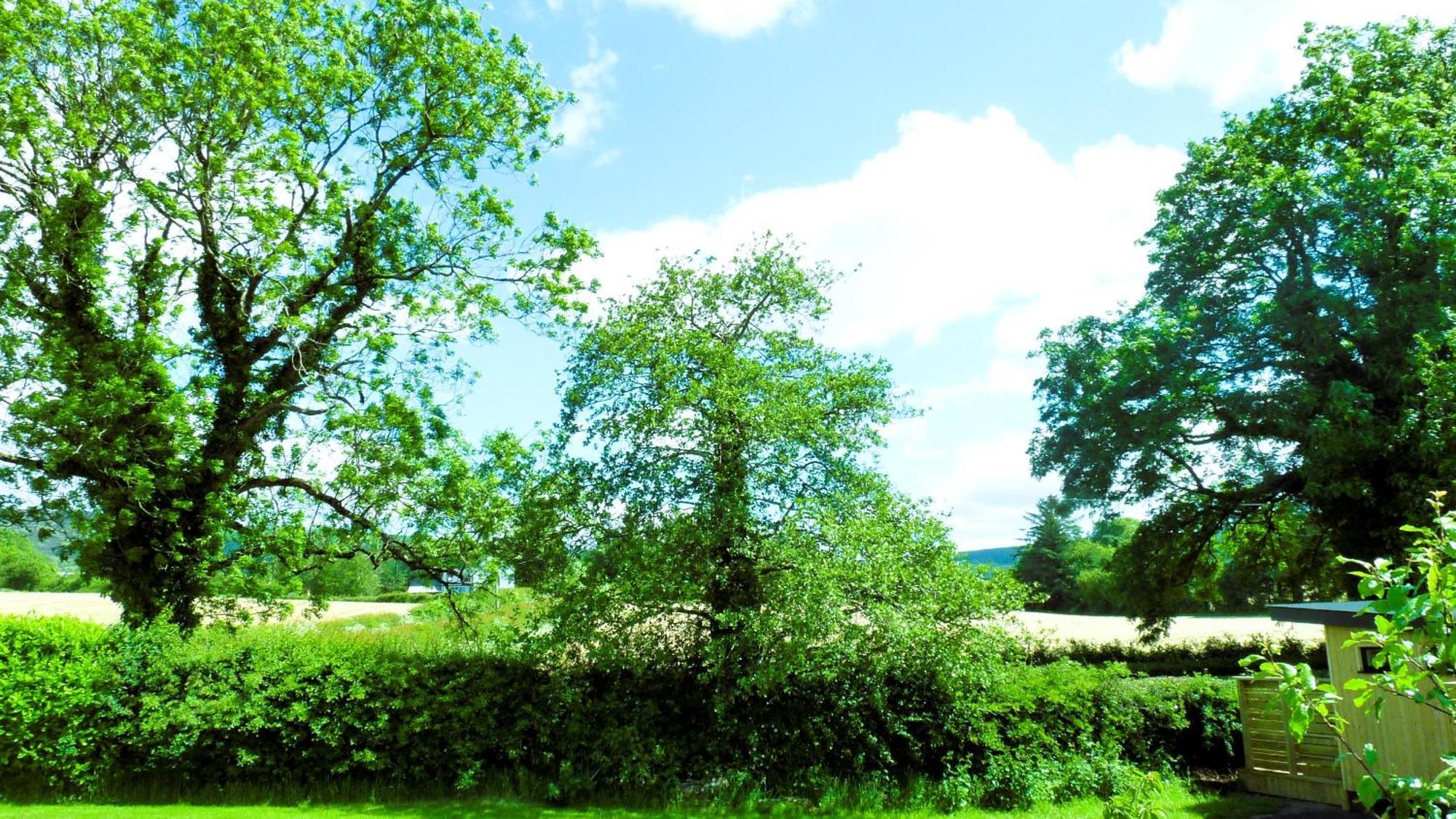 An Garrai Mor Hotel Omagh Bagian luar foto