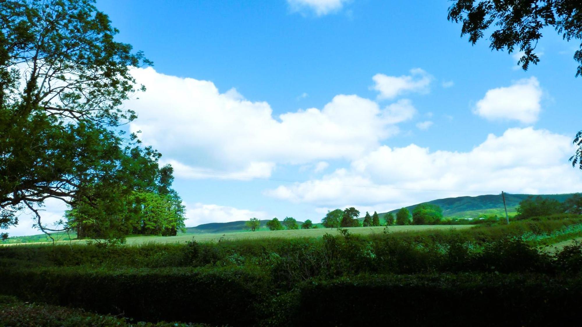 An Garrai Mor Hotel Omagh Bagian luar foto