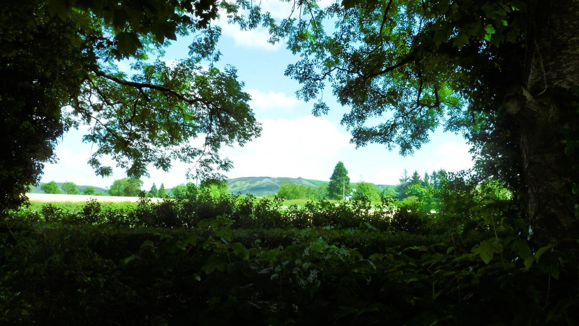 An Garrai Mor Hotel Omagh Bagian luar foto